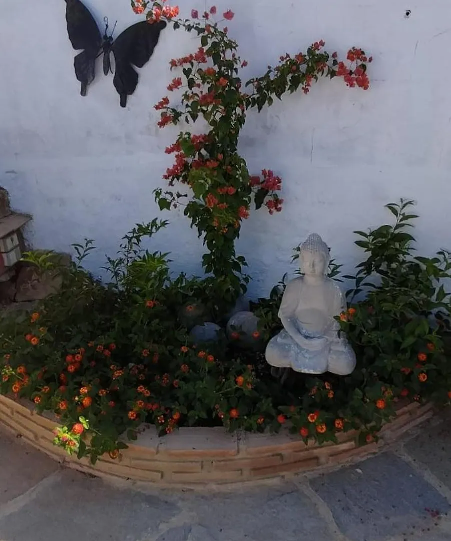 Nocleg ze śniadaniem Bed and Breakfast Casa Ceratonia Álora